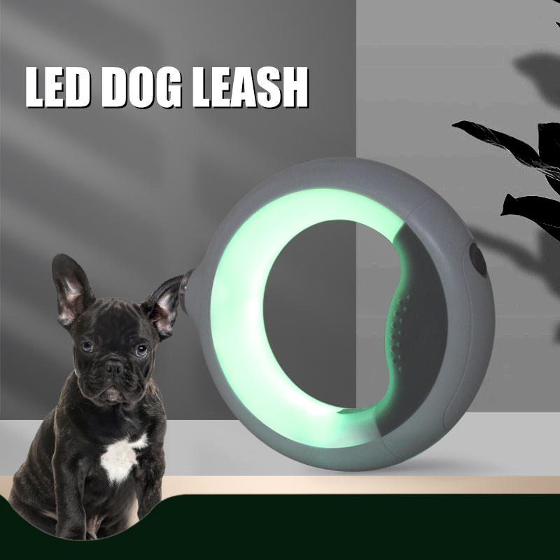 Enchevêtrement enchet de chien LED réfléchissant gratuit